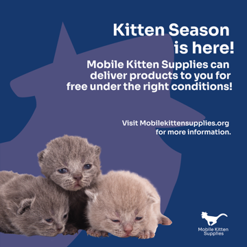 This is an Instagram post with three young kittens on it. 
				They're clumped together, and, from left to right, are colored gray,
				gray, and off-white respectively. 
				
				The main headline, located at the top right, reads: Kitten Season is 
				here! The text below it states: Mobile Kitten Supplies can deliver 
				products to you for free under the right conditions!
				
				Towards the middle right part of the composition is the phrase: Visit 
				Mobilekittensupplies.org for more information.
				
				On the bottom right part of the image is a white version of 
				Mobile Kitten Supplies's logo.
				
				Meanwhile, the background color is dark blue, with a pale, partially faded
				headshot of the company's cat icon.